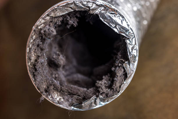 Best Affordable Air Duct Cleaning  in Princeton Junction, NJ