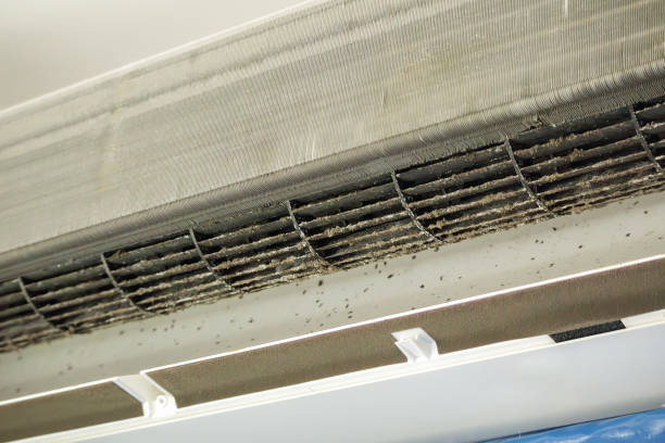 Best Air Vent Cleaning Services  in Princeton Junction, NJ